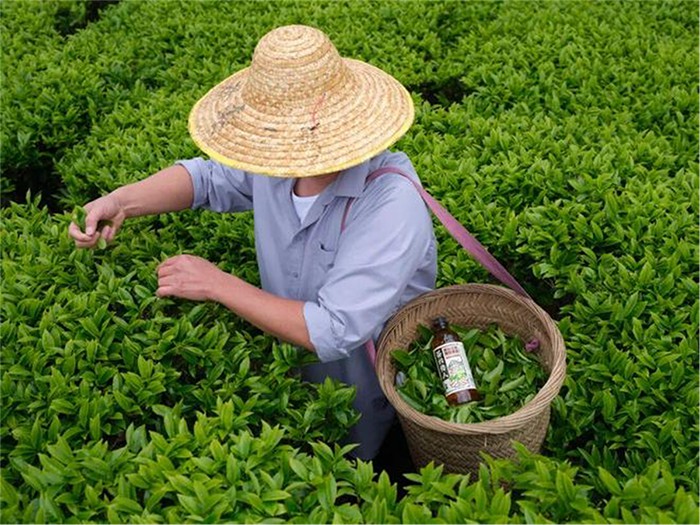 00c6be20ce89445d28854ca1a115e7e4.jpg 00c6be20ce89445d28854ca1a115e7e4.jpg