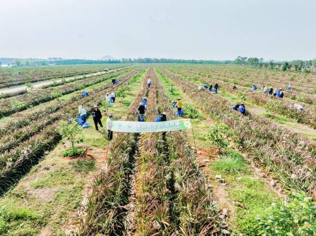 0b7620bb7e2738f760eb042317b87c77.jpg 0b7620bb7e2738f760eb042317b87c77.jpg