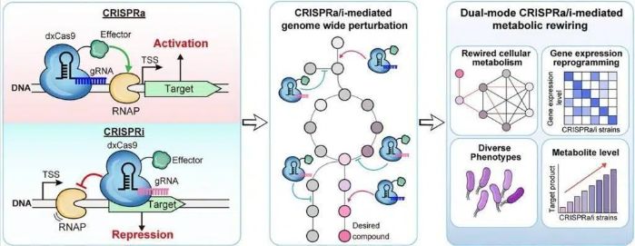 15359f3840471fe1cf1ba5179ccc1419.jpg 15359f3840471fe1cf1ba5179ccc1419.jpg
