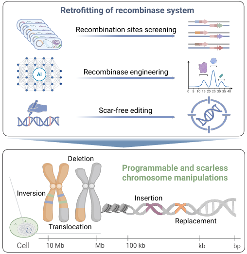 1f20c43097bf2b0189d427dcb3e4b3cb.png 1f20c43097bf2b0189d427dcb3e4b3cb.png