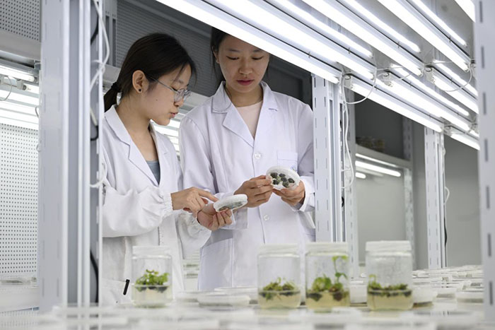 1f4c1a62bf6cf7a1eb2b7fb07e79aa22.jpg 1f4c1a62bf6cf7a1eb2b7fb07e79aa22.jpg