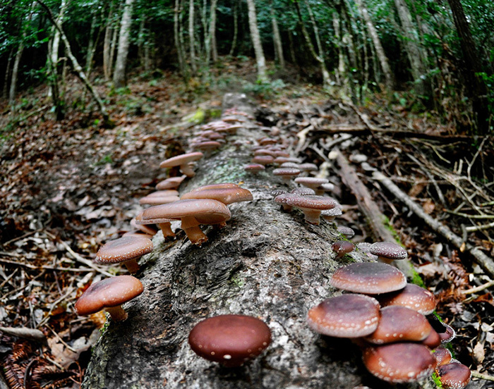 22a90560cd4c9a2951cc5aedc755a91a.jpg 22a90560cd4c9a2951cc5aedc755a91a.jpg