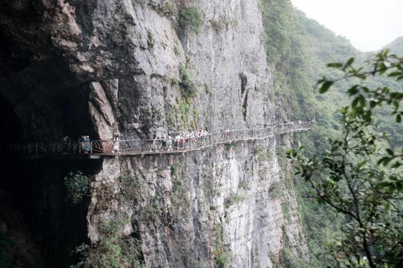云端竞速，全民健身！金佛山国际旅游文化节·2025中国健身名山· 中邮保险杯·第十届金佛山登山赛圆满举办！