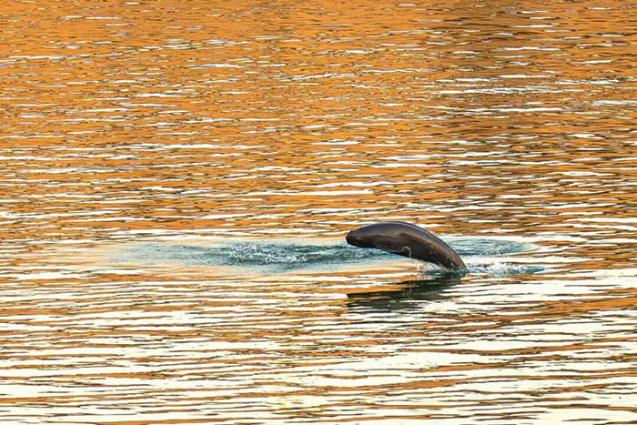 42c280b23f049290bc72d6db6af8d3c7.jpg 42c280b23f049290bc72d6db6af8d3c7.jpg