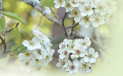 45af875ed128d1abe90754107f8c9c11.jpg