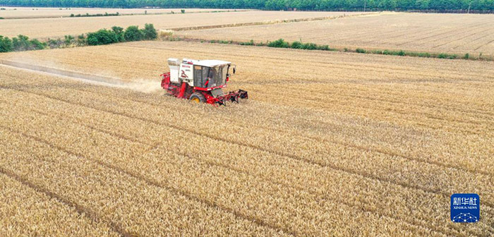 552935a117f0746dd585c76f67fd5925.jpg 552935a117f0746dd585c76f67fd5925.jpg