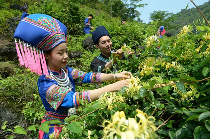 568441c82a0e2403febc231a548e0e3e.jpg 568441c82a0e2403febc231a548e0e3e.jpg