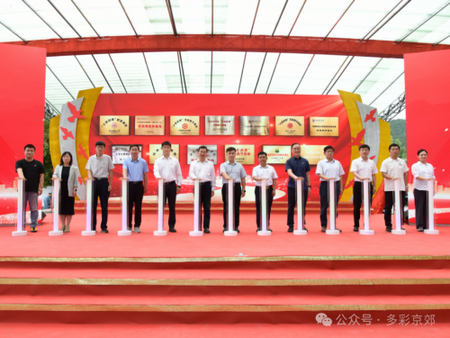 十校联动筑基红色沃土 校地共融绘就振兴蓝图
