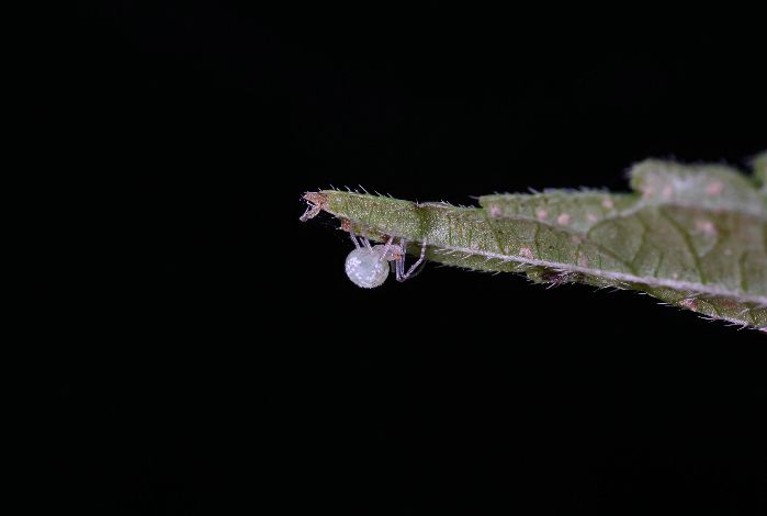 6442c1b12ac571d03cb401b8234a139b.jpg 6442c1b12ac571d03cb401b8234a139b.jpg