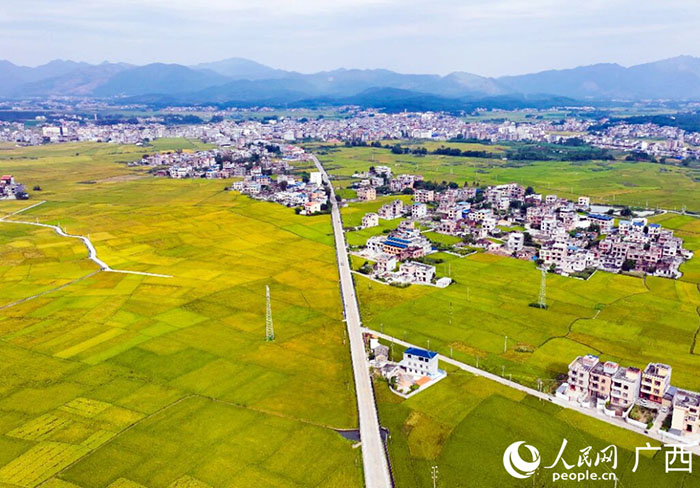 689e4e1ae9289e24b11f6ad9c7ee7396.jpg 689e4e1ae9289e24b11f6ad9c7ee7396.jpg