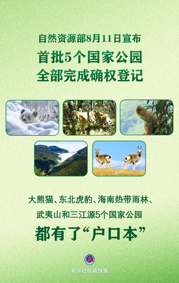 75497c189aaf9a9bdd129efc4ef1ae11.jpg