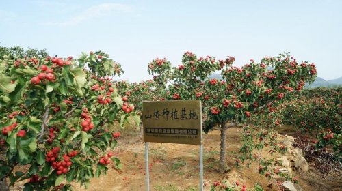 7fa1070fe9c693e51a3c380571833a49.jpg 7fa1070fe9c693e51a3c380571833a49.jpg