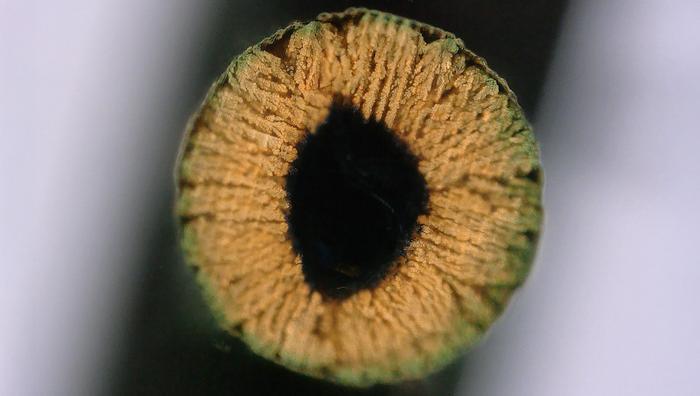 8156e4f9806b7cc34e35135b57b63f0e.jpg 8156e4f9806b7cc34e35135b57b63f0e.jpg