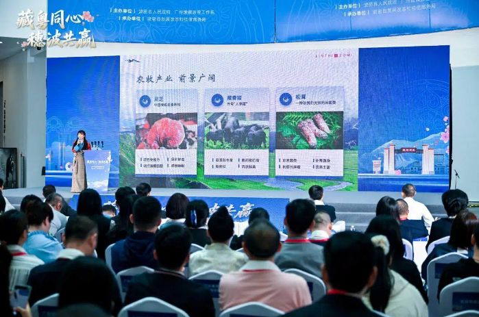 95a5e8f693cf860a0d82c6b119b2f955.jpg 95a5e8f693cf860a0d82c6b119b2f955.jpg