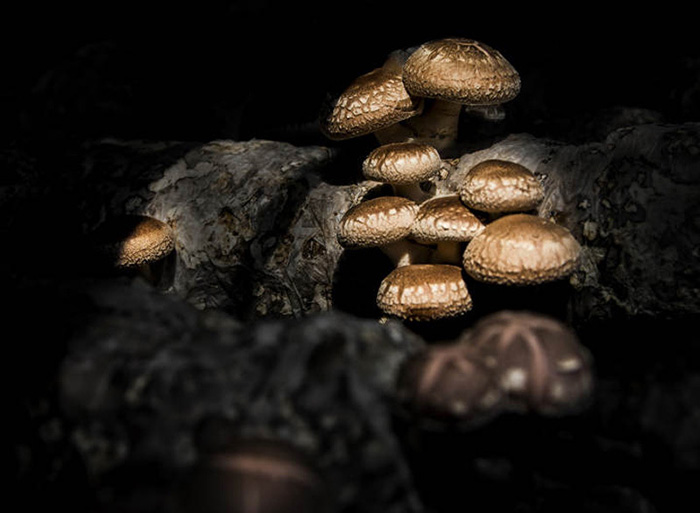 97db097df6a31fbfe360bc994a1ddf8c.jpg 97db097df6a31fbfe360bc994a1ddf8c.jpg