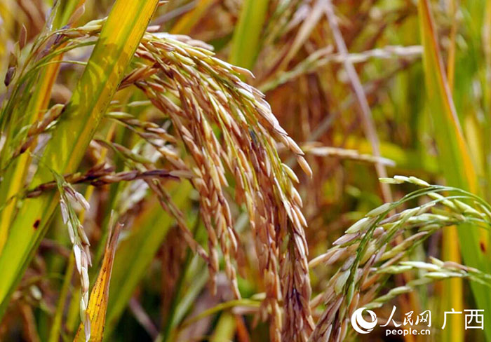 9cad6345dab033bf75ed0516e72c13f1.jpg 9cad6345dab033bf75ed0516e72c13f1.jpg