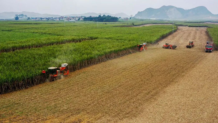 9eec2b01a4dc835deb4d63c41bf4b9ce.jpg 9eec2b01a4dc835deb4d63c41bf4b9ce.jpg