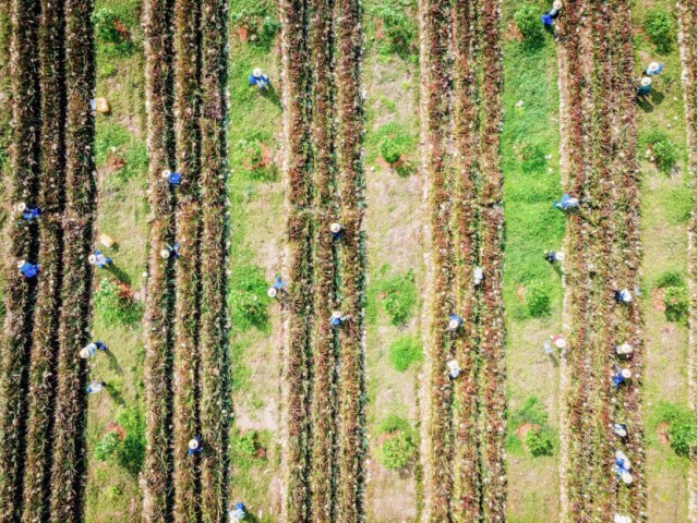 a3fd8273c157e43e30773d51a7b7e4eb.jpg a3fd8273c157e43e30773d51a7b7e4eb.jpg