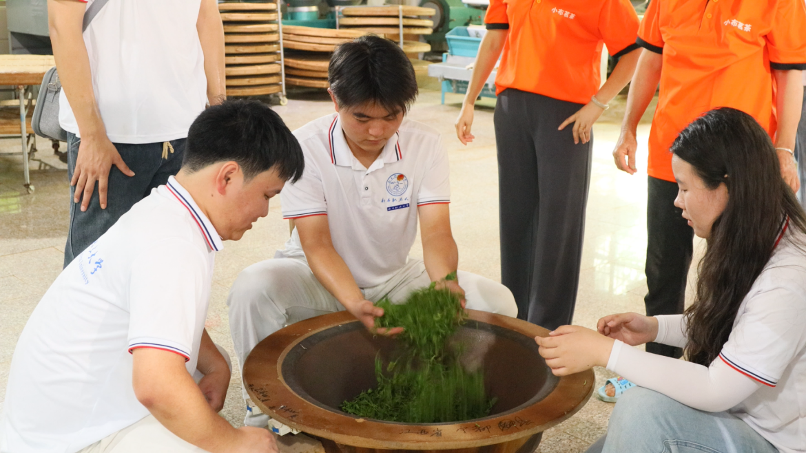 南昌职业大学：小布茶香韵 古乡润民心