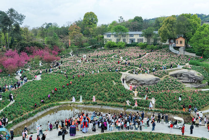 ae27d586f249fc7180874044a01dad62.jpg ae27d586f249fc7180874044a01dad62.jpg