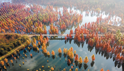 b8e8143b347f1a497c6dedeb12668efd.jpg b8e8143b347f1a497c6dedeb12668efd.jpg