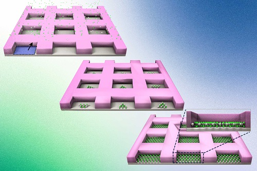 c4b686adc3d4da90bd06d22561e206d0.jpg