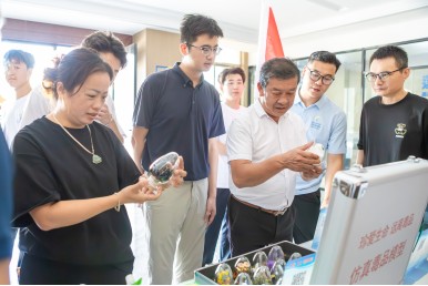 暑期三下乡：青春赋能乡村振兴，匠心筑梦向海图强