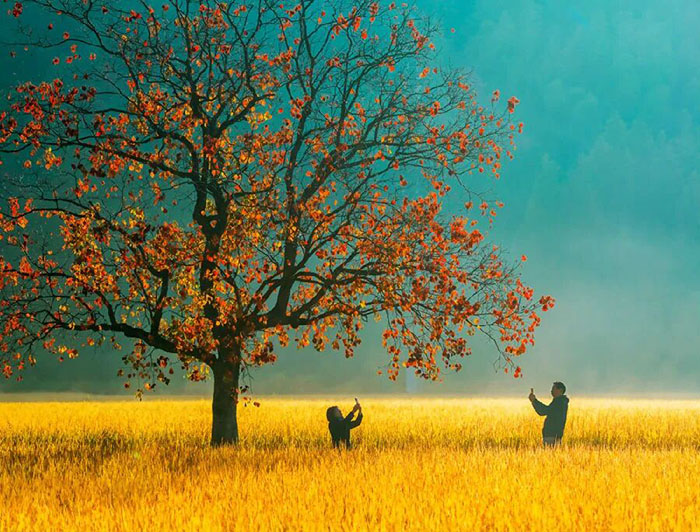 e9c5fd95f86b7f84f6997fc281226f10.jpg e9c5fd95f86b7f84f6997fc281226f10.jpg