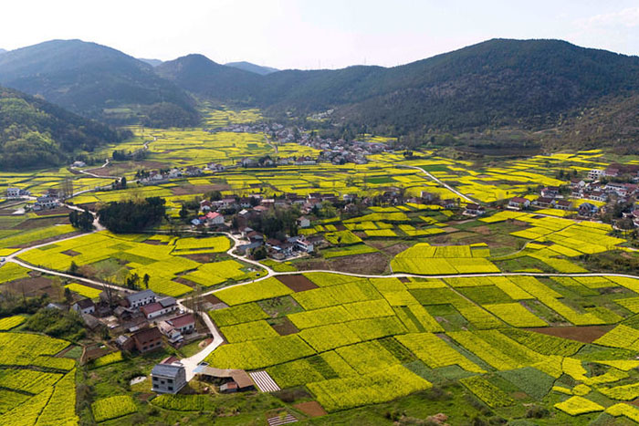 ea38104cc87f4c29a6f3b8c007ff6920.jpg ea38104cc87f4c29a6f3b8c007ff6920.jpg