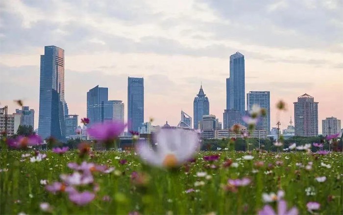 f1cfd1b6c047545e795c034d113ca040.jpg f1cfd1b6c047545e795c034d113ca040.jpg