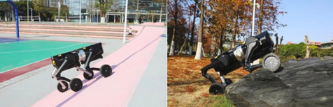 f83703cf591c492eb0792d5b2b2cab08.png f83703cf591c492eb0792d5b2b2cab08.png