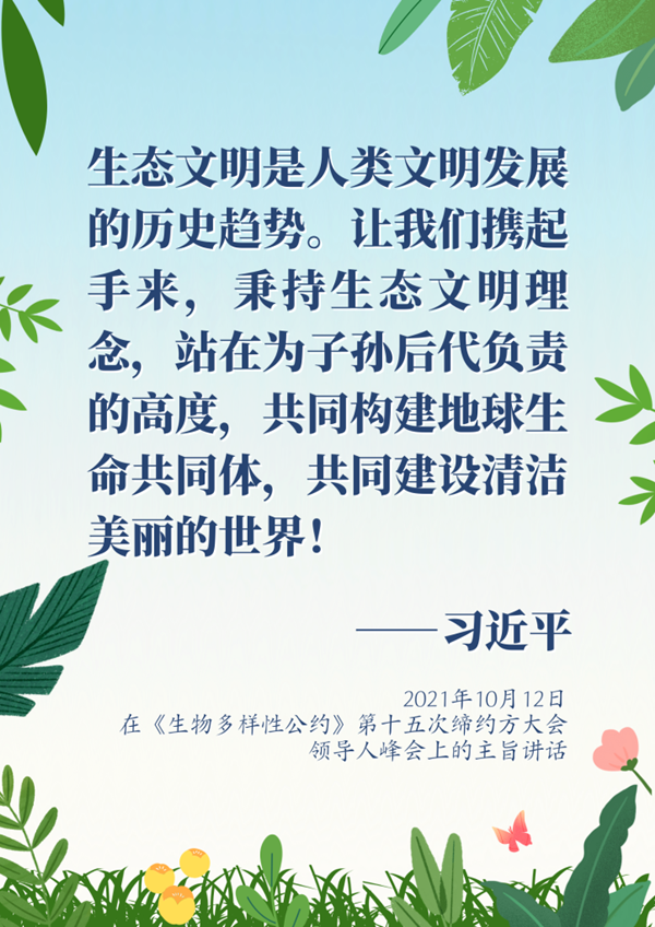 f904441efcf2bcd1d2169855e1670617.png